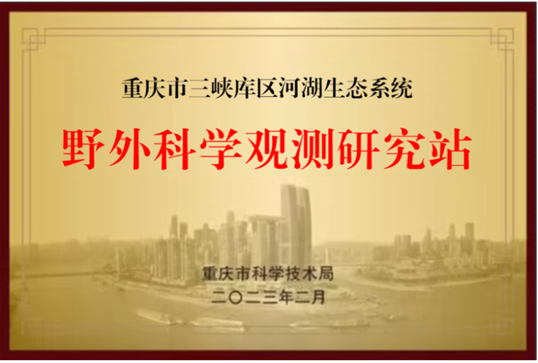 QQ图片20230316111342.png